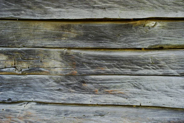 Background Texture Tree Oak Old Wooden Board — Stock Photo, Image