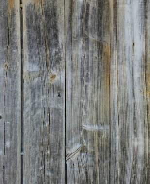 Ağacın arka plan dokusu , meşe. Eski ahşap tahta.