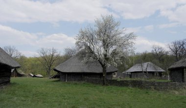  Eski Ukrayna evi. On dokuzuncu yüzyılın Ukrayna kulübesi. Bahar manzarası, çiçek açan ağaçlar. Pirogovo köyü.