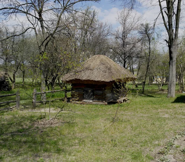 古いウクライナの家 19世紀のウクライナの小屋 春の風景 咲く木々 ピロゴヴォ村 — ストック写真