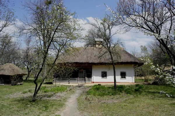 Eski Ukrayna Evi Dokuzuncu Yüzyılın Ukrayna Kulübesi Bahar Manzarası Çiçek — Stok fotoğraf