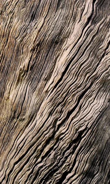 Φόντο Δέντρου Βελανιδιά Παλιά Ξύλινη Σανίδα — Φωτογραφία Αρχείου