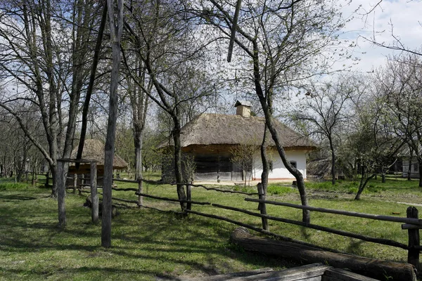 Velha Casa Ucraniana Cabana Ucraniana Século Xix Paisagem Primavera Árvores — Fotografia de Stock