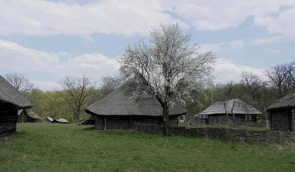 老乌克兰房子 十九世纪的乌克兰小屋 春天的风景 盛开的树木 皮罗戈沃村 — 图库照片