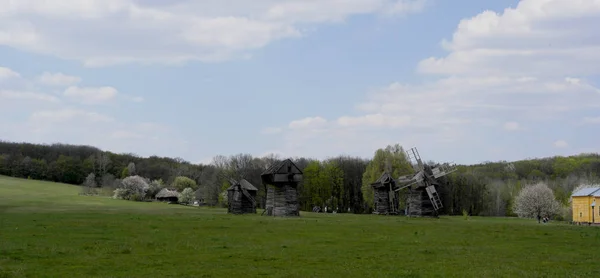 Old Ukrainian mill. Ukrainian mill of the nineteenth century. Spring landscape, flowering trees. Village Pirogovo. Wooden old mill.