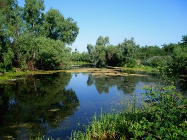 Yaz mavisi gökyüzünün arka planında akşam manzarası, nehir ve ağaçlar.