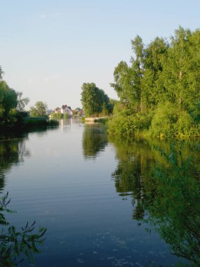  Yazın çam ve yaprak döken ağaçlar. Ormandaki yol..                