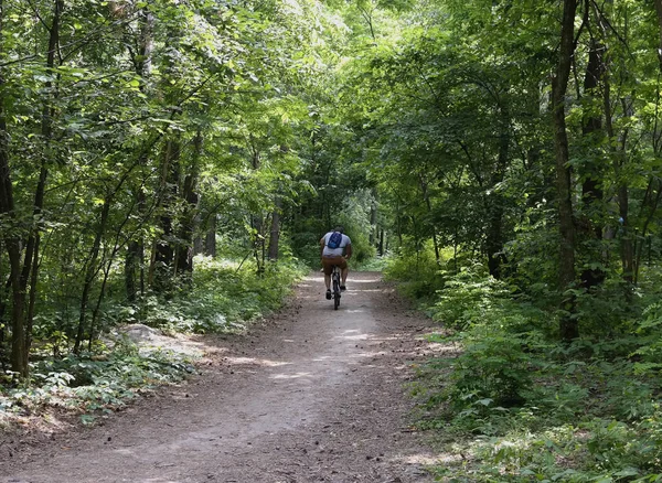 Biciklis Lovagol Kerékpár Lombhullató Erdőben Hátoldali Nézet — Stock Fotó