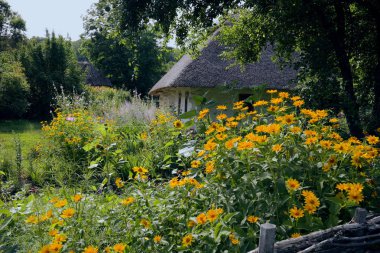 Eski Ukrayna evi. 19. yüzyılın Ukrayna kulübesi. Yaz manzarası, evin önündeki çiçekler, güneş ışığı. Köy Pirogovo.