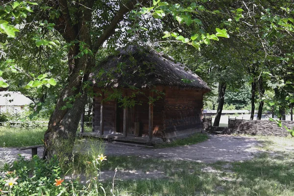 Gammalt Ukrainskt Hus Ukrainska Hut Artonhundratalet Sommar Landskap Solsken Village — Stockfoto