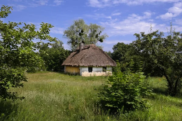 Starý Ukrajinský Dům Ukrajinská Chata Devatenáctého Století Letní Krajina Sluníčko — Stock fotografie