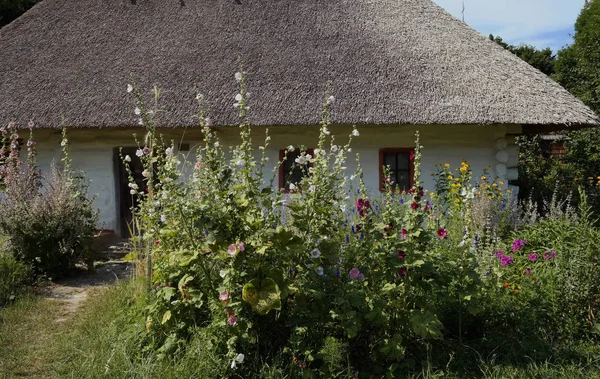 Oude Oekraïense Huis Oekraïense Hut Van Negentiende Eeuw Zomer Landschap — Stockfoto