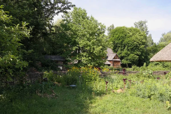 Ancienne Maison Ukrainienne Cabane Ukrainienne Xixe Siècle Paysage Estival Fleurs — Photo