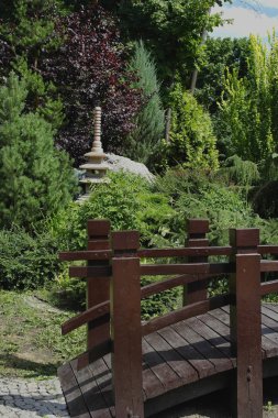 Ahşap tarzı. Çiçekli bitkiler ve ağaçlar. Yaz günü .