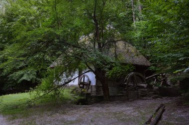 On dokuzuncu yüzyılın eski su değirmeni. Köy Pirogovo.