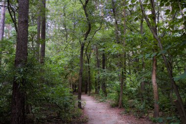 On dokuzuncu yüzyılın eski su değirmeni. Köy Pirogovo.