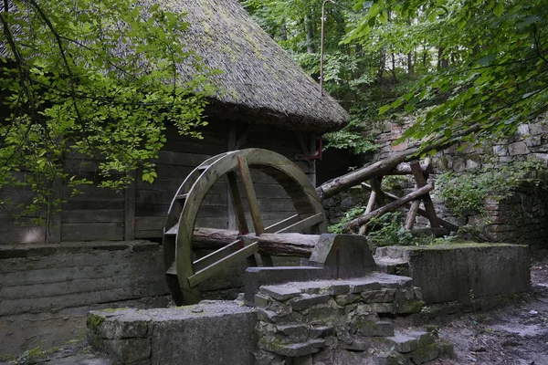 Moinho De Vento Histórico Na Pequena Colina Na Natureza Em Brugge