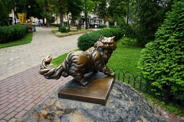 2019 키예프 우크라이나 푹신한 꼬리를 고양이의 — 스톡 사진