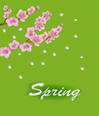 Vektör illüstrasyon yayı. Herkes uyansın, sakura çiçekleri. Kartpostal. 