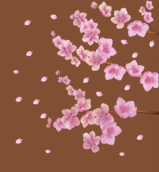 Vector Muelle Ilustración Todos Despierta Flores Sakura Flor Postcard — Vector de stock