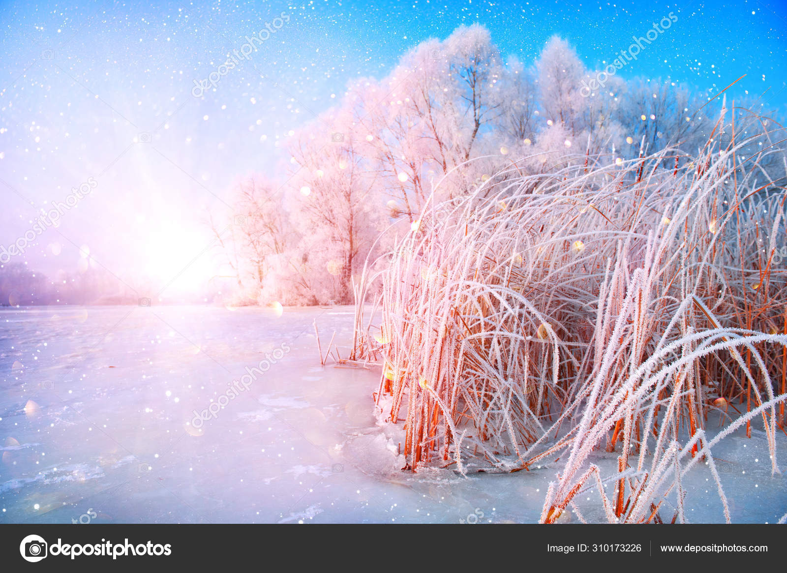winter landscape winter landscape