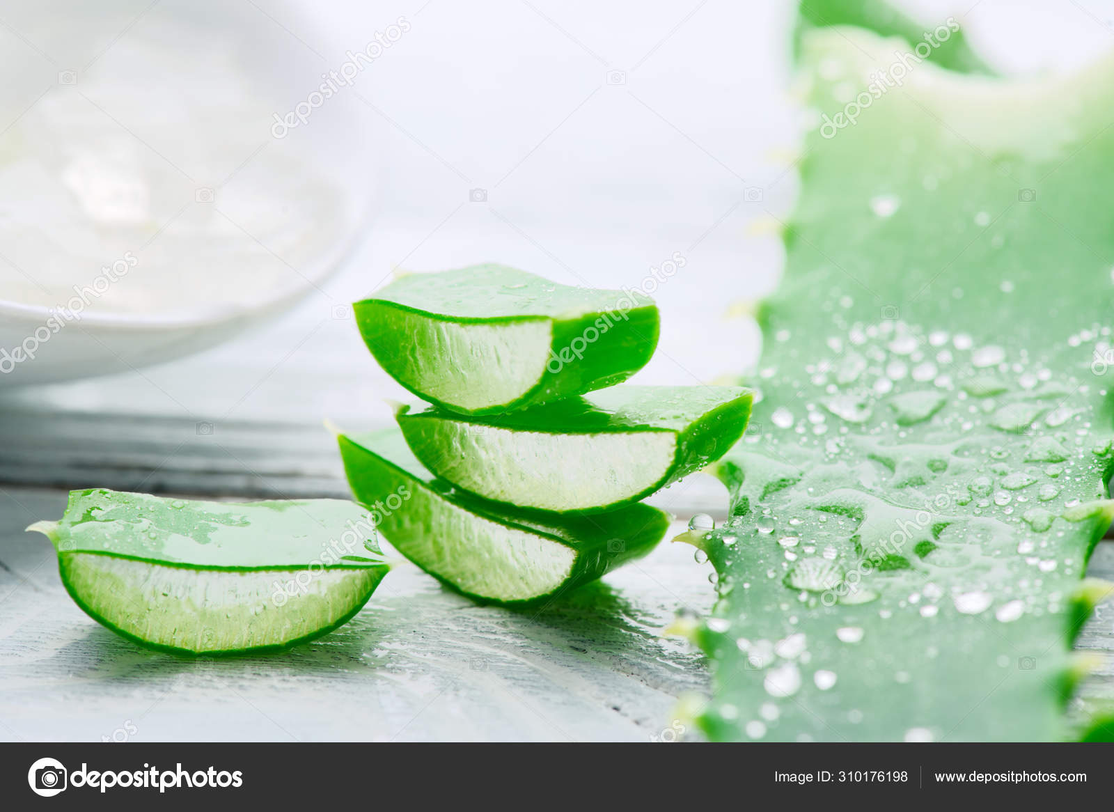 35 098 Aloe Vera Stock Photos Images Download Aloe Vera Pictures On Depositphotos 35 098 Aloe Vera Stock Photos Images Download Aloe Vera Pictures On Depositphotos