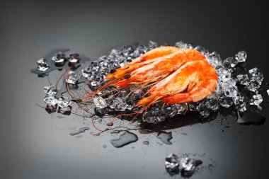 Karides. Siyah bir arka plan üzerinde taze karides. Deniz ürünleri çöktü 