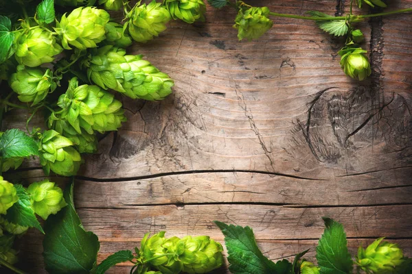Hopfenzweig über alten hölzernen rissigen Tischhintergrund. Bierprodukt — Stockfoto
