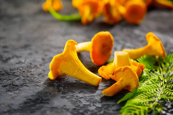 Cogumelos chanterelle selvagens crus em backgrou de mesa rústico velho escuro — Fotografia de Stock