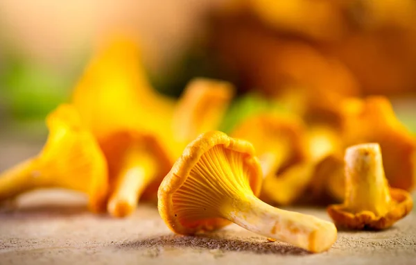 Raw wild chanterelle mushrooms on old rustic table background. O — Stock Photo, Image