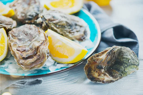 Ostras frescas de cerca en plato azul, mesa servida con ostras , —  Fotos de Stock