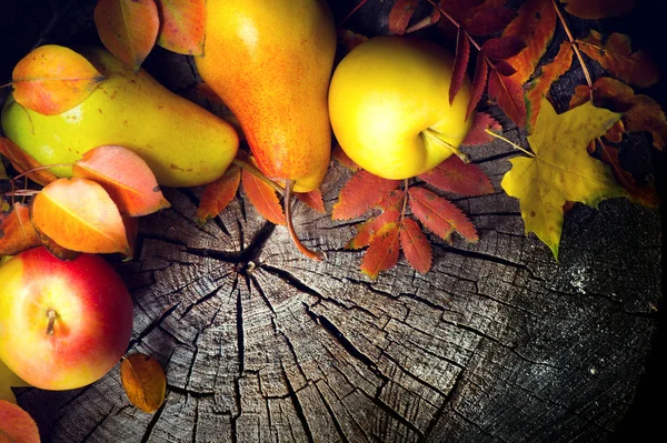 Őszi gyümölcsök és színes levelek a régi repedt fa háttérben — Stock Fotó