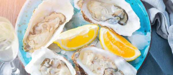 Fresh Oysters closeup on blue plate, served table with oysters, — Stock Photo, Image