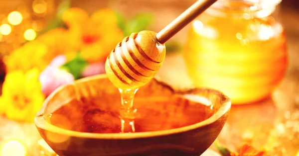 Tesoro. Miele sano organico denso gocciolante dal tuffo miele — Foto Stock