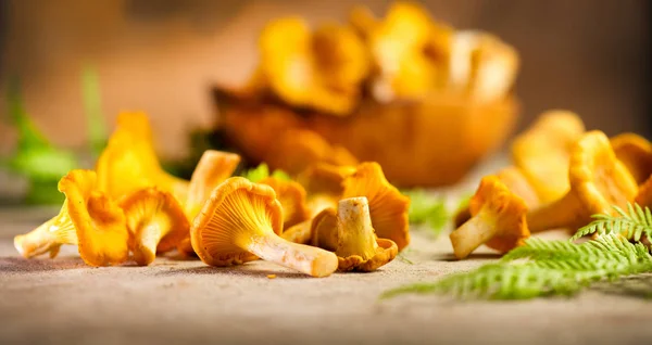 Funghi selvatici crudi di finferli su sfondo di tavolo rustico vecchio. O — Foto Stock