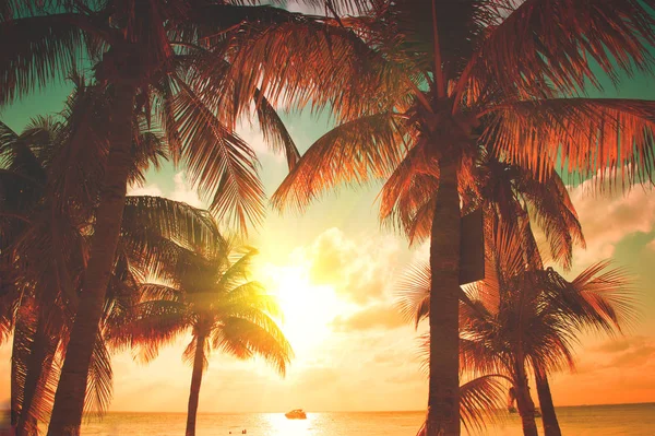 Palmiye Ağaçları Güzel Gökyüzü Ile Sunset Plaj Karayip Adası Cennet — Stok fotoğraf