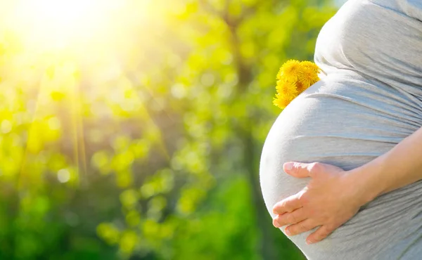 Mujer Embarazada Vientre. Concepto de embarazo. Sobre la naturaleza verde borrosa — Foto de Stock