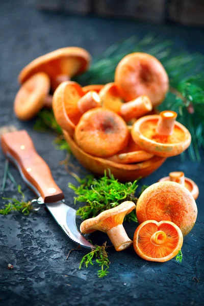 Rohe wilde Safranmilch-Steinpilze auf dunklem, rustikalem Hintergrund — Stockfoto