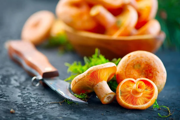 Champignons sauvages crus de casquette de lait de safran sur le vieux backgroun rustique foncé — Photo