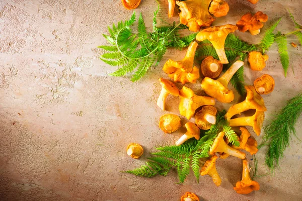 Champignons chanterelles sauvages crus sur un vieux fond de table rustique. O — Photo