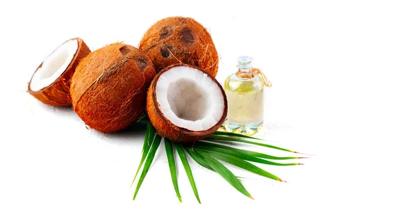 Aceite de coco en una botella con coco y hoja de palmera verde i — Foto de Stock