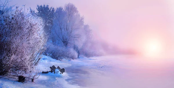 Schöne Winterlandschaft Szene Hintergrund mit schneebedeckten tr — Stockfoto