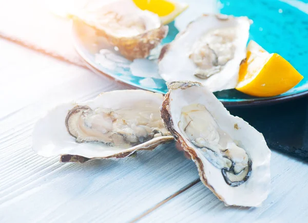 Fresh Oysters closeup on blue plate, served table with oysters, Royalty Free Stock Photos