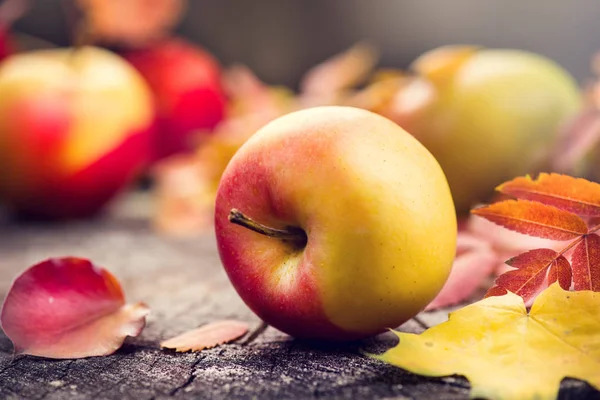 Autumn fruits and colorful leaves over old cracked wooden backgr Stock Photo