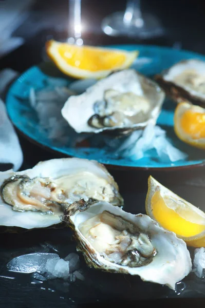 Ostras frescas fecham em prato azul, mesa servida com ostras , Fotos De Bancos De Imagens