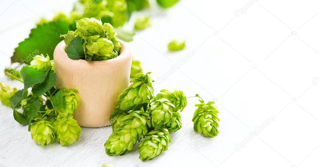 Hop. Whole hops in wooden bowl on white table. Brewery. Beer pro