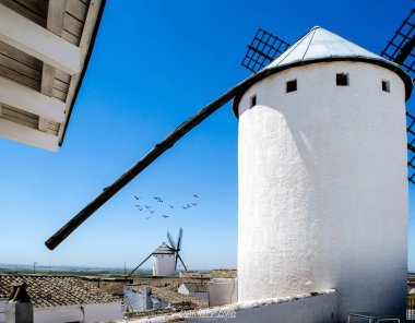 Etkileyici bir yel değirmeni, başka bir arkasını ve gökyüzünde bazı kuşları görebileceğiniz bir yer. Herkes çatılara çıksın.