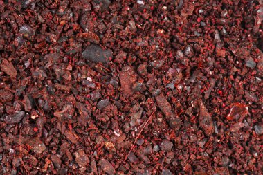 Arka plan olarak zemin sumak baharat. Makro çekim