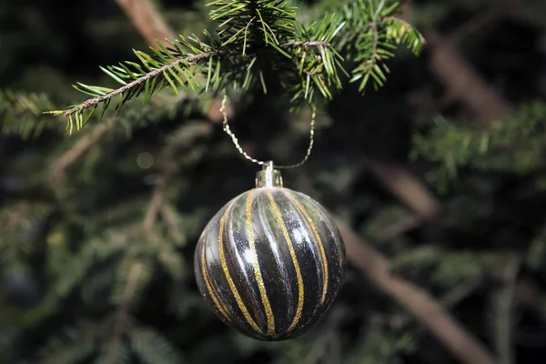 Fir Υποκατάστημα Μπάλες Και Γιορτινά Φώτα Στο Φόντο Χριστουγεννιάτικο — Φωτογραφία Αρχείου