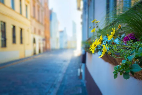 Straße Ohne Menschen 2020 Europa Lettland Riga — Stockfoto